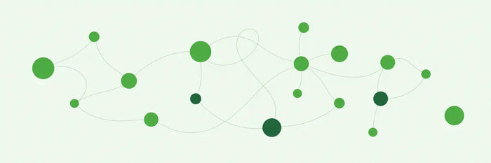 Constellations d'organisation
